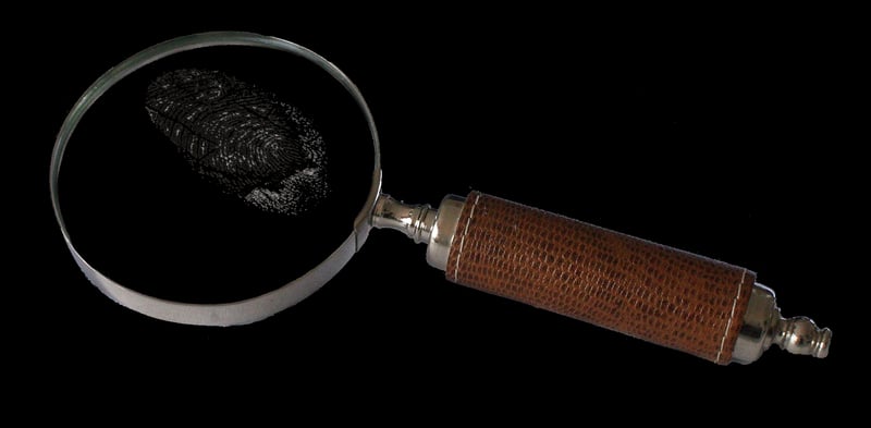 Astroecology investigations